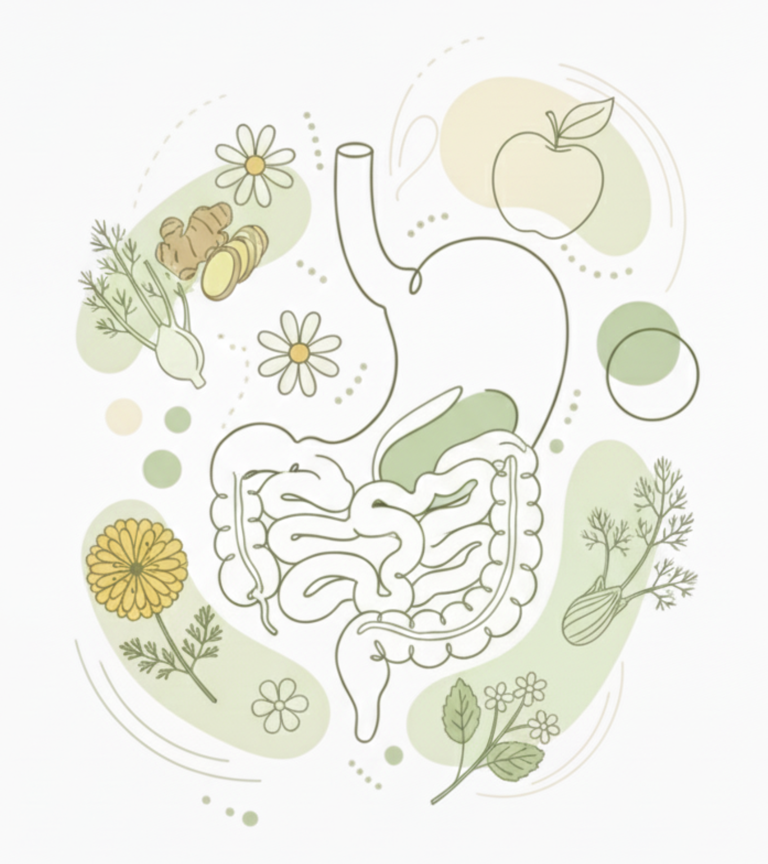 Ghid de lifestyle pentru digestie sănătoasă si slabire